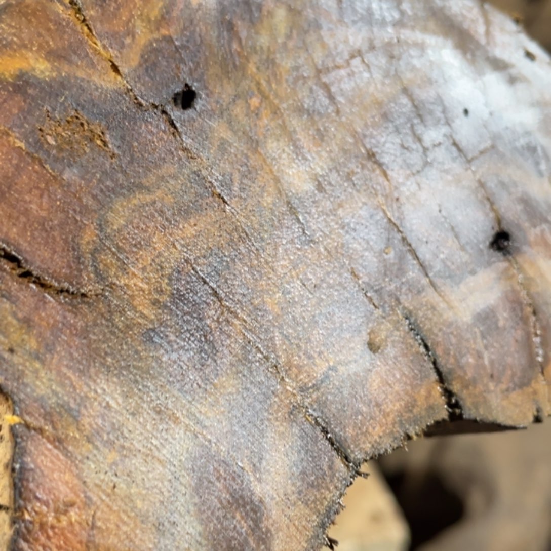 A***队贡木手串私人定制