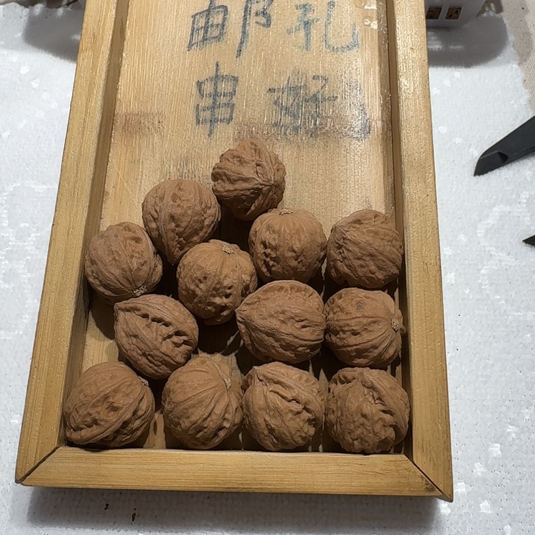 核桃手串/手链14号边24肚23高23