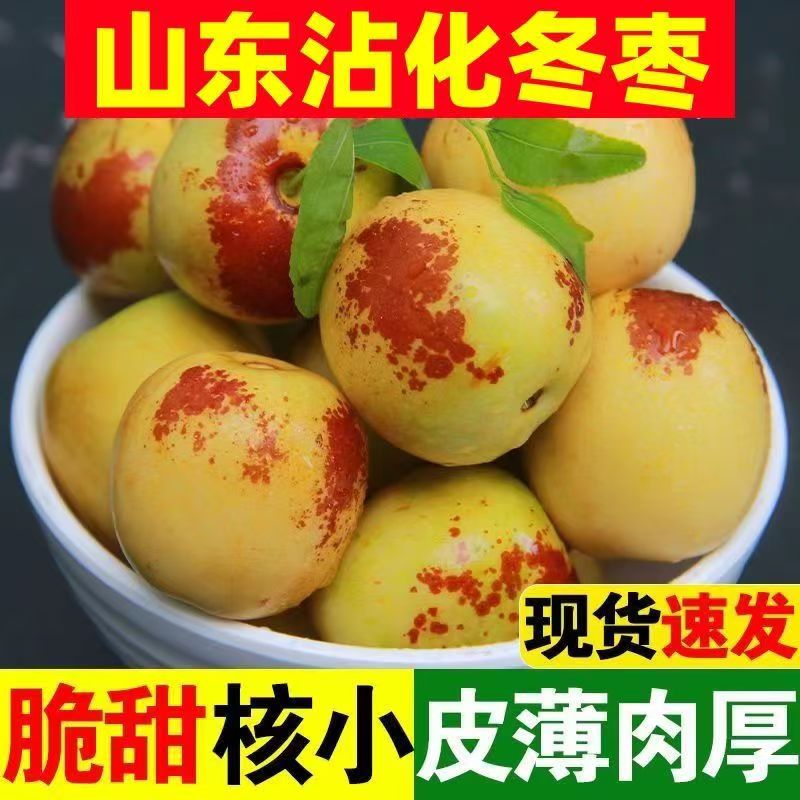 脆甜沾化冬枣山东特产特新鲜脆甜现摘现发5斤