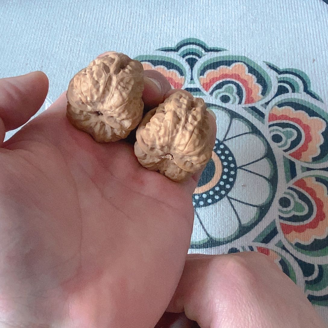 文玩核桃把件开播福利蛙