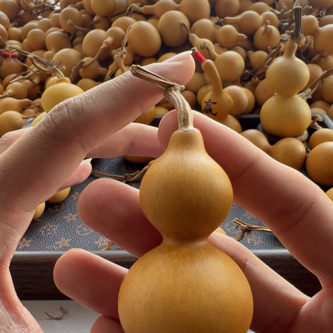 喜***g哈哈哈哈哈哈哈哈哈哈哈哈