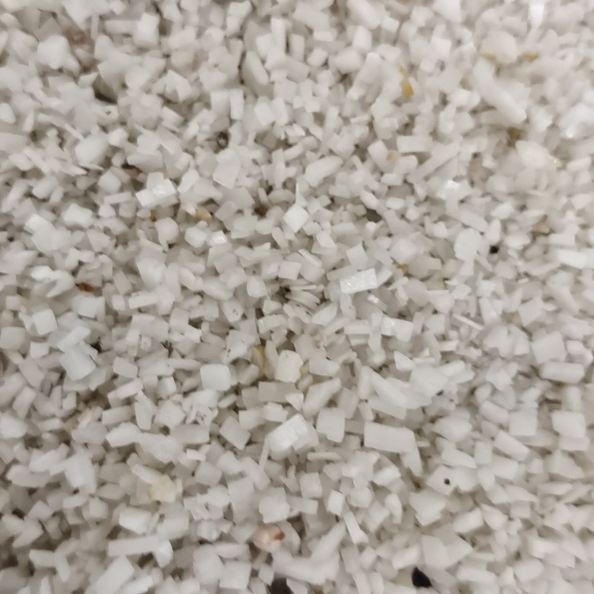 盆景绿植批发培根营养土黑金石无花果陈书记