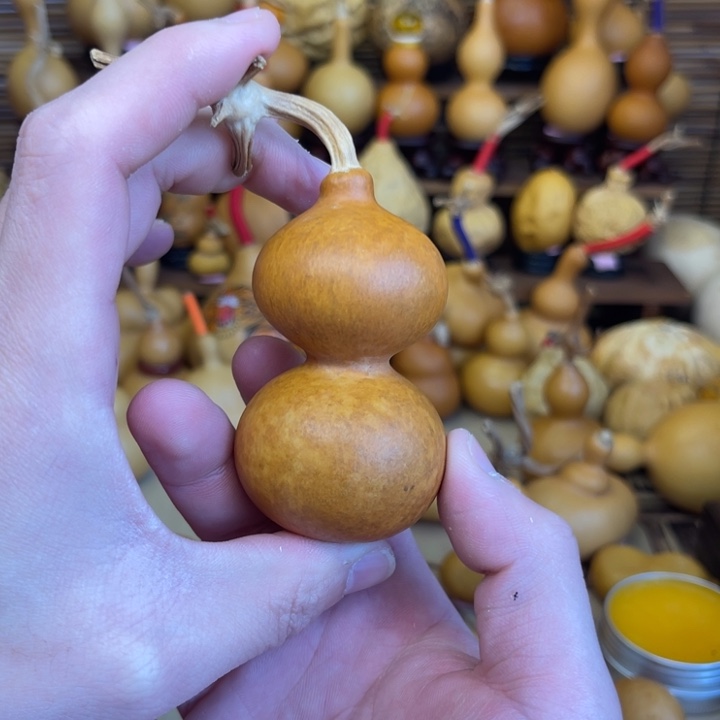 花叶病掐腰八宝13