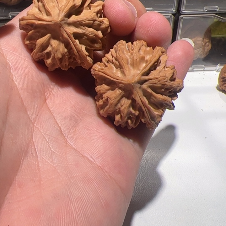 三棱的区别就是说你在