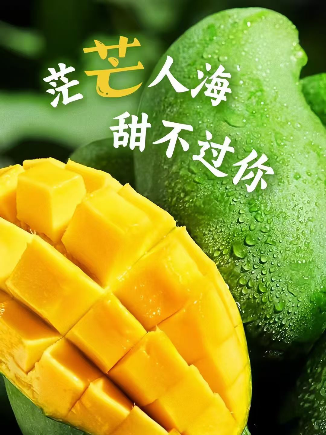 广西百色新鲜大金煌芒果，脆爽清甜可口，可生吃应季水果