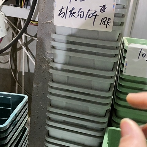 树脂编号102无托10个