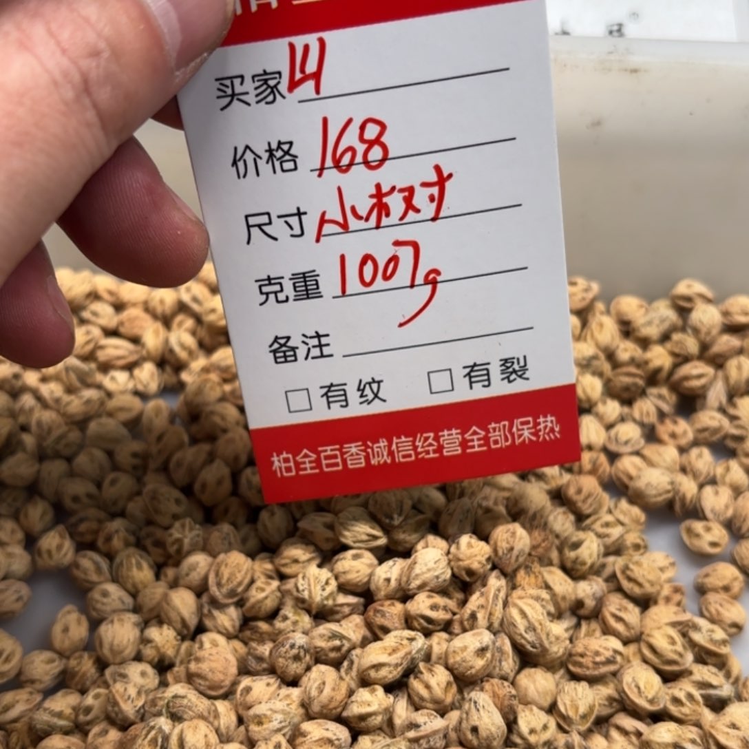 山*柏香籽散子 1007 克散子