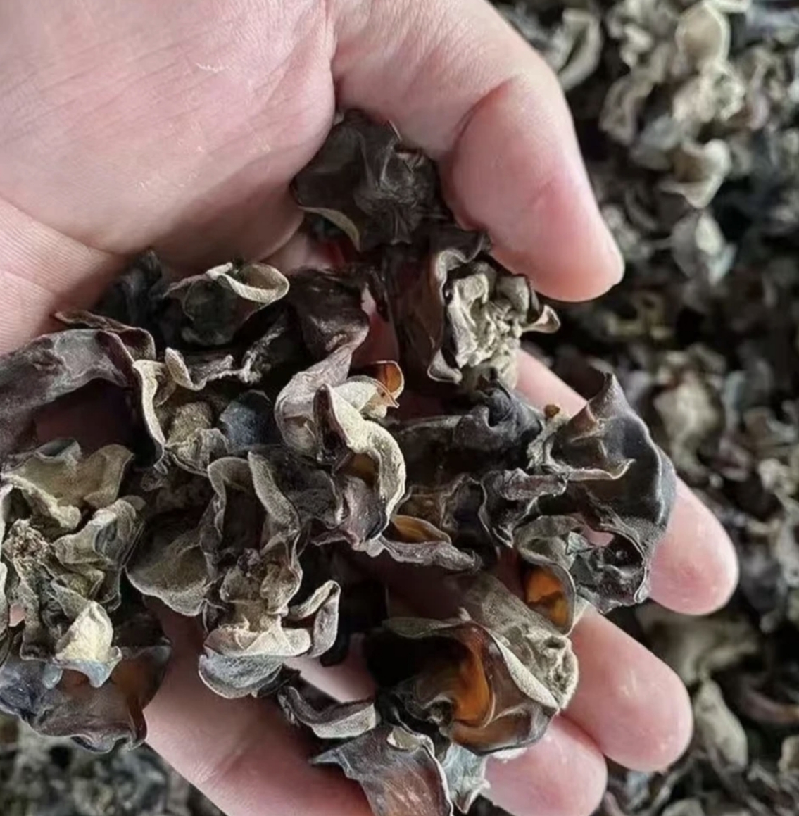 毛木耳500g干货散装野生特产级餐饮火锅饭店食堂脆山东大木耳白背