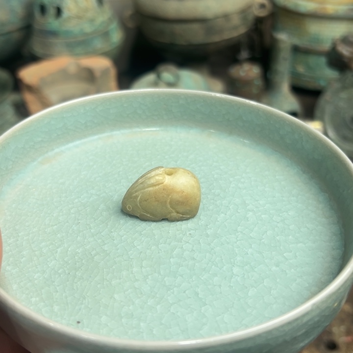 25538338838338388383你****播