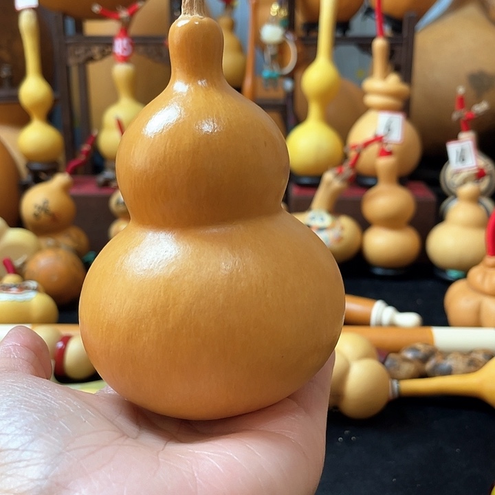 刚*葫芦岛连山区、去往别人家