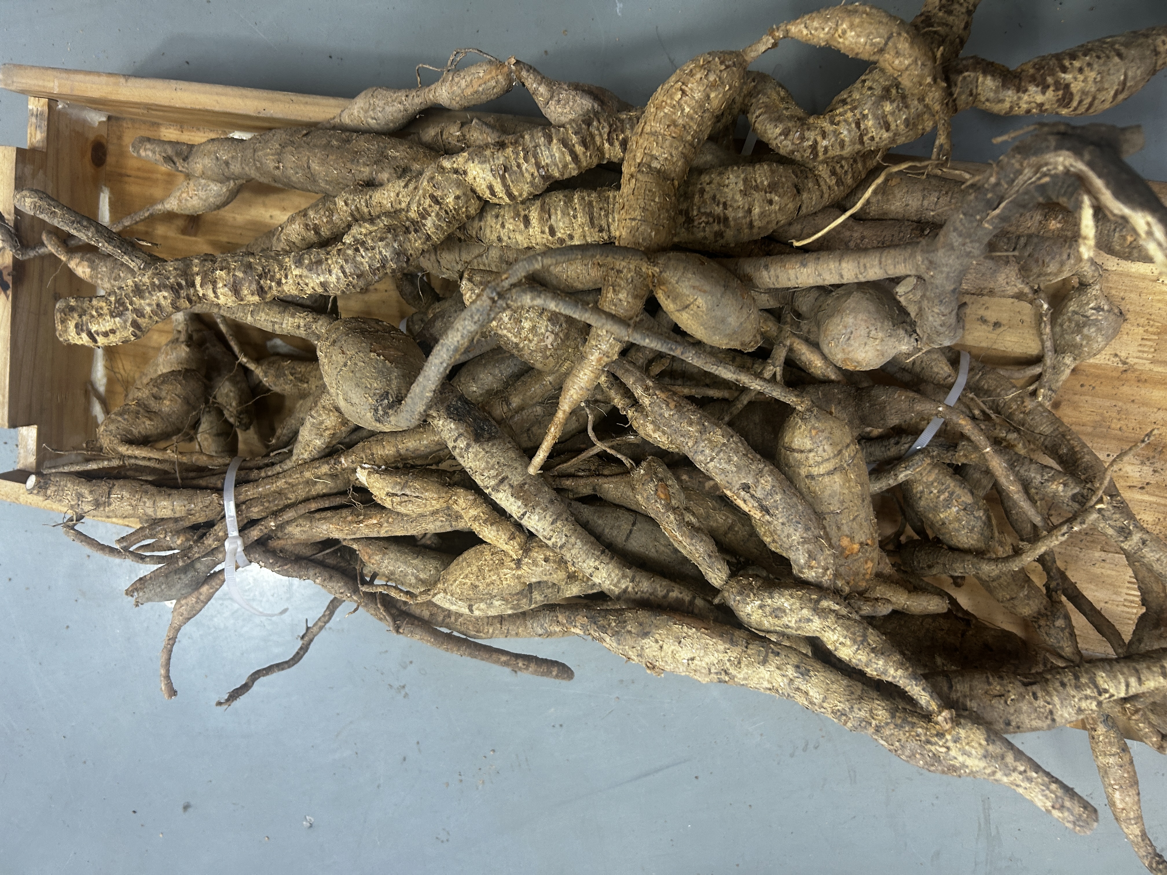 牛大力自然生晒 干货  泡8+1