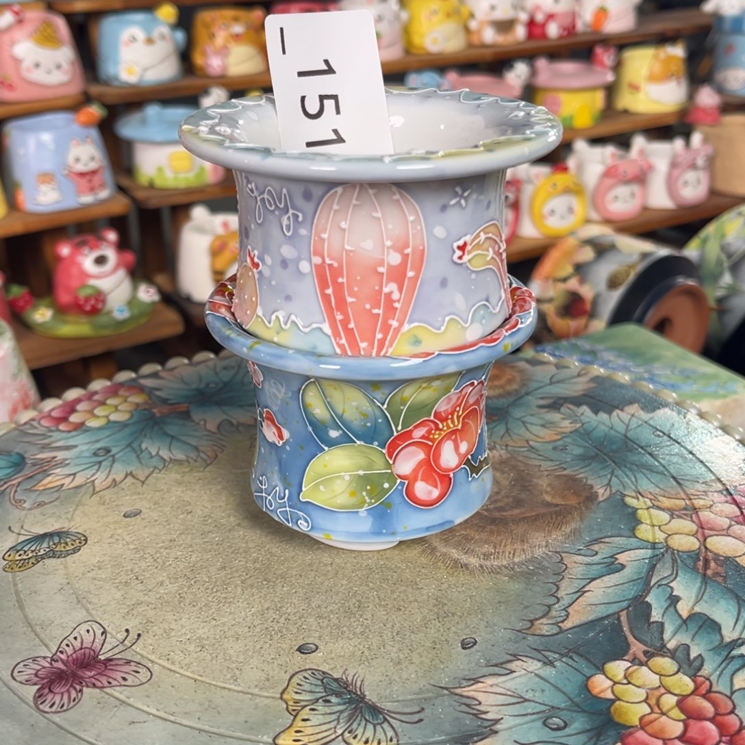 毅****151多肉花盆   2个