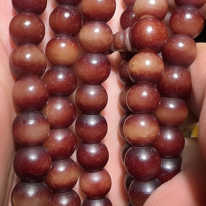 藏区老菩提根保老漂亮