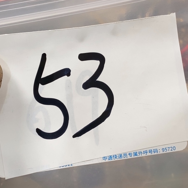 郑***福五六七文玩专属连接