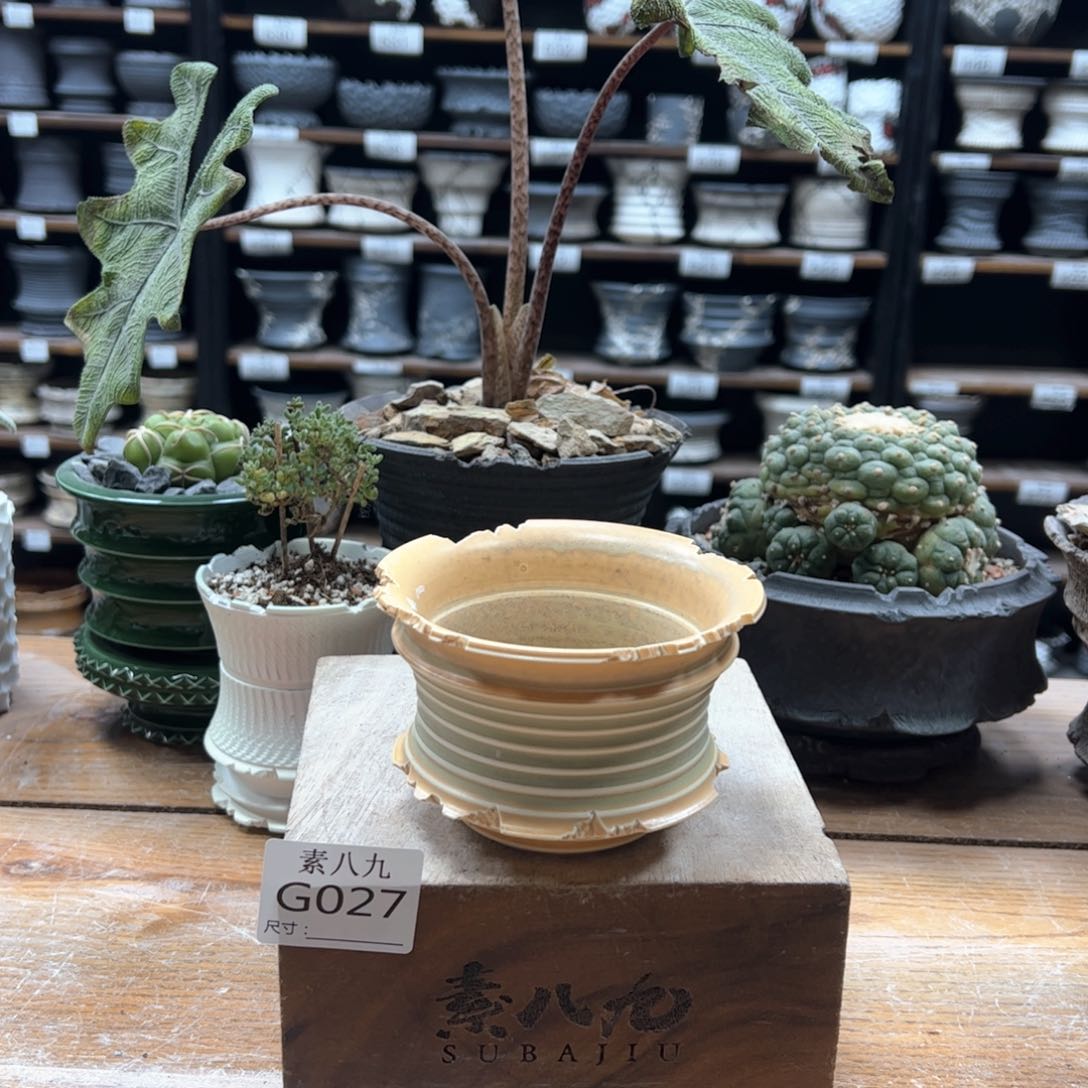 素八九陶瓷内口10.5高7瑕疵