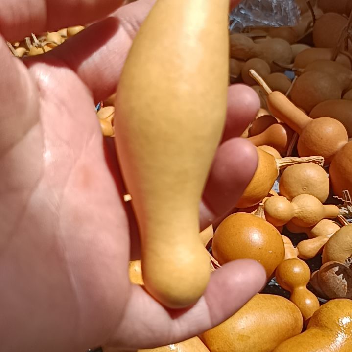 松**。葫芦好看葫芦，我