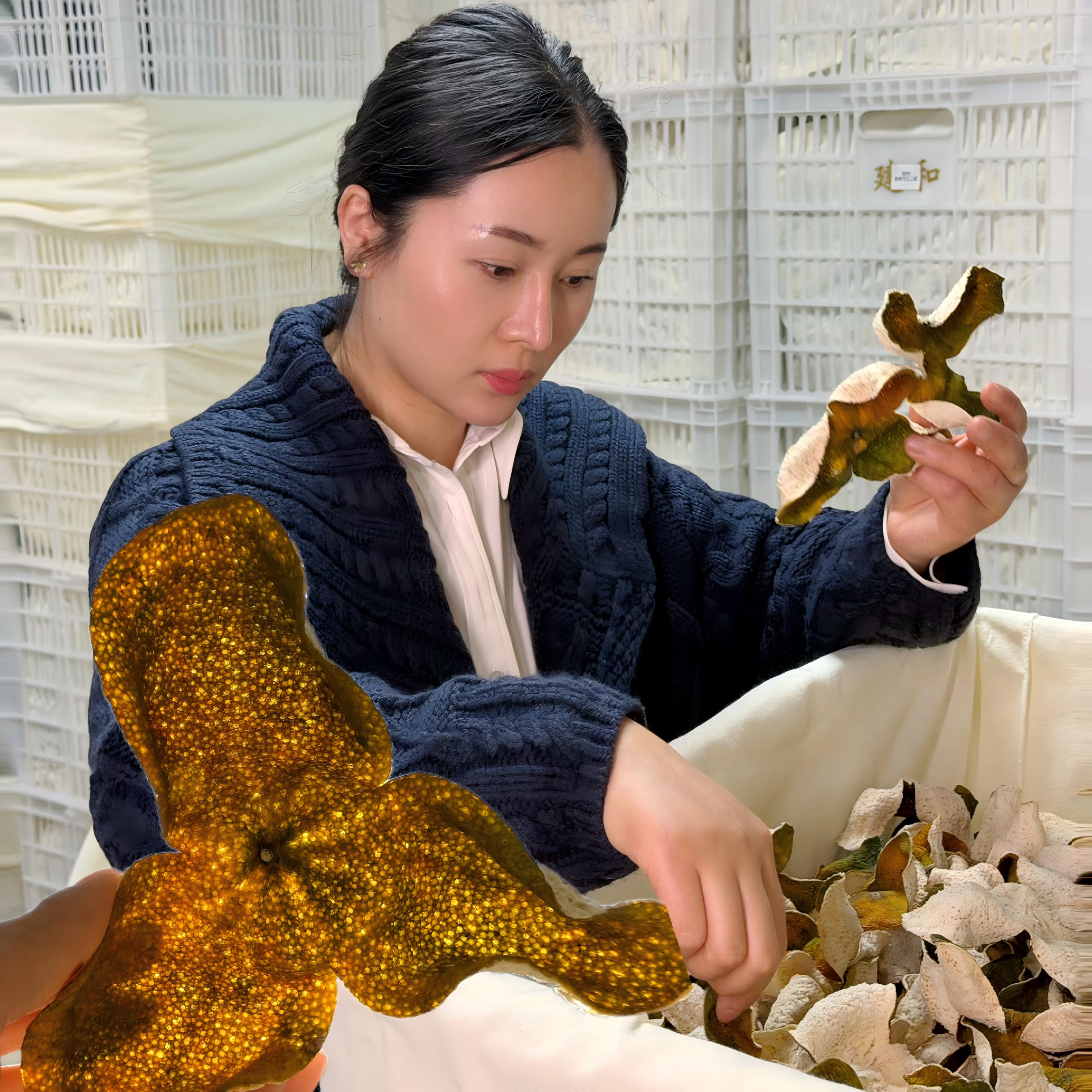 【美丽专属】2025 天马老树圈枝二红皮  新会茶枝柑新皮 天然生晒
