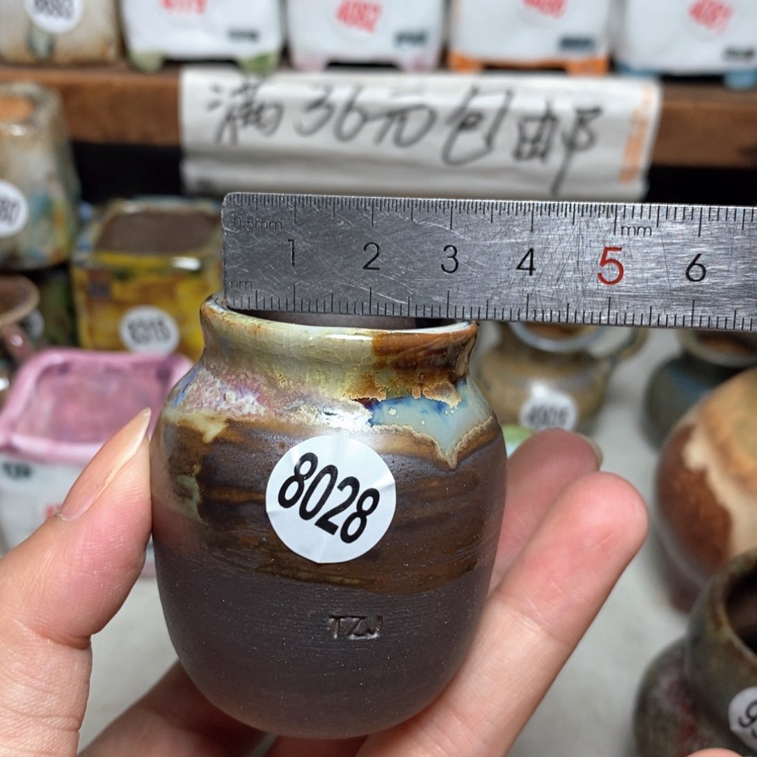 拍5送一个小礼物