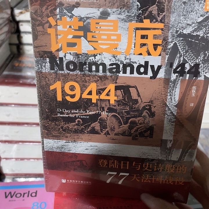 诺曼底微瑕微瑕6.