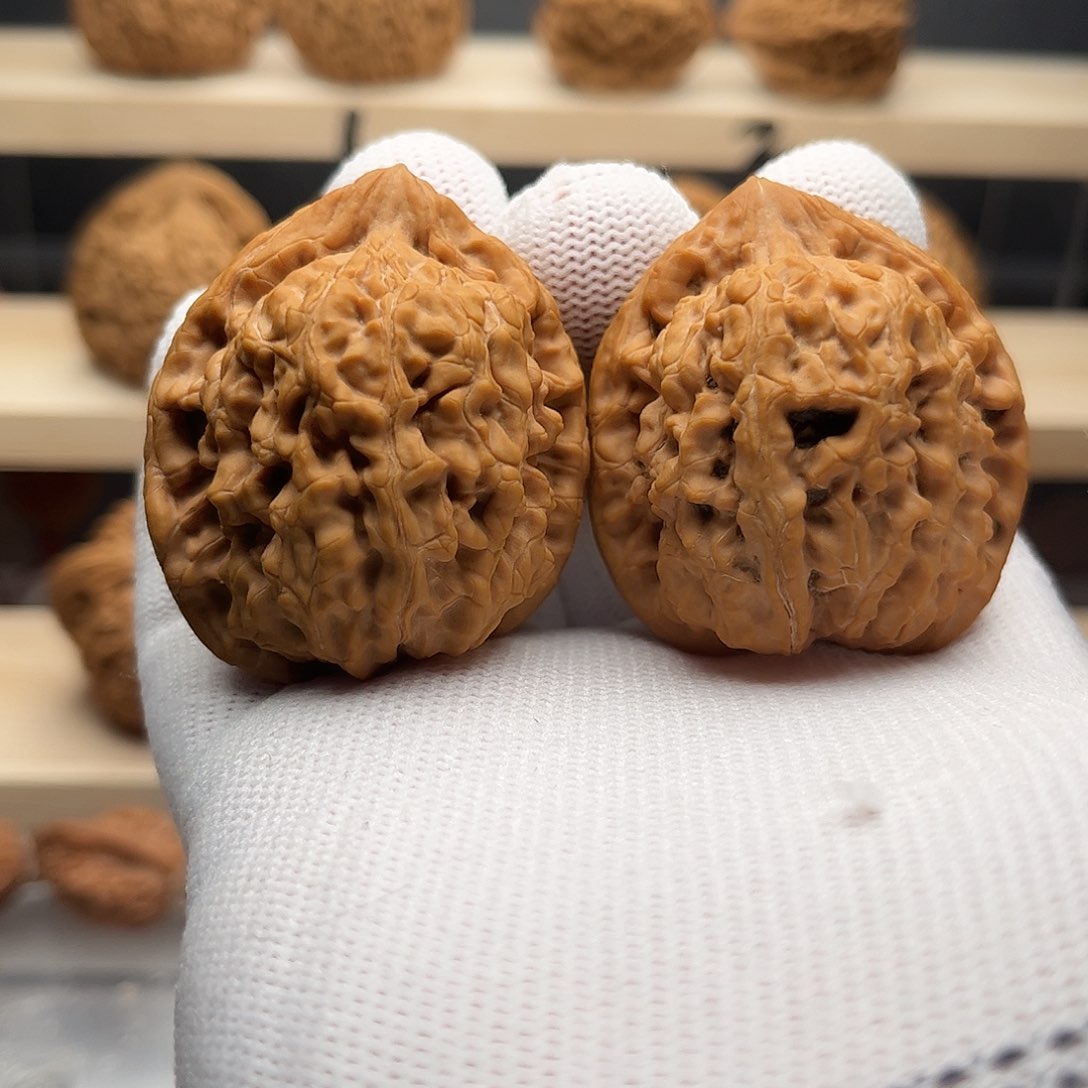 桃核吊坠39粗筋蚂蚁王，