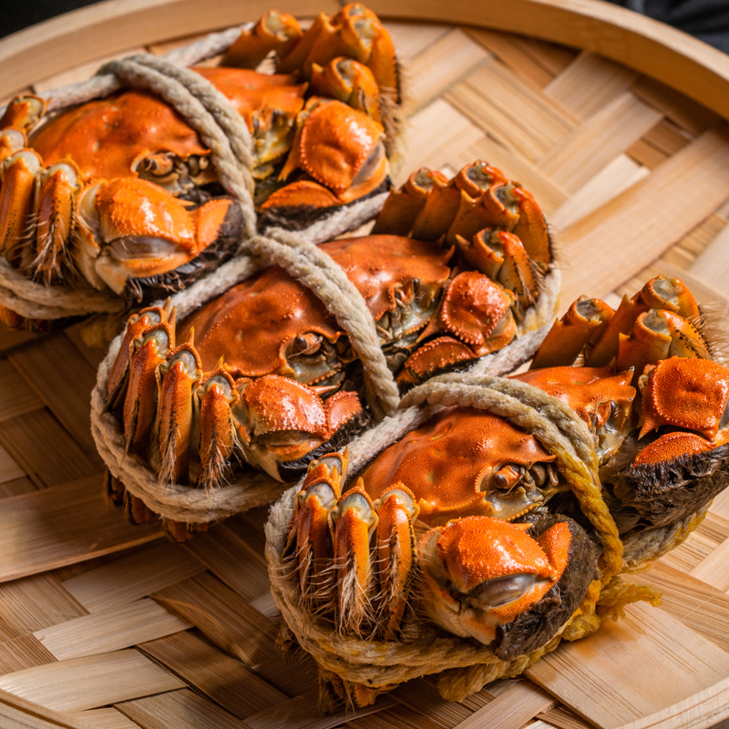 【大蟹王+大蟹后】 螃·蟹 公6.0-5·2两/只母蟹5.0-4·2两/只 精品蟹8只 顺丰/京东冷链 赠吃蟹工具精美礼盒 青蟹