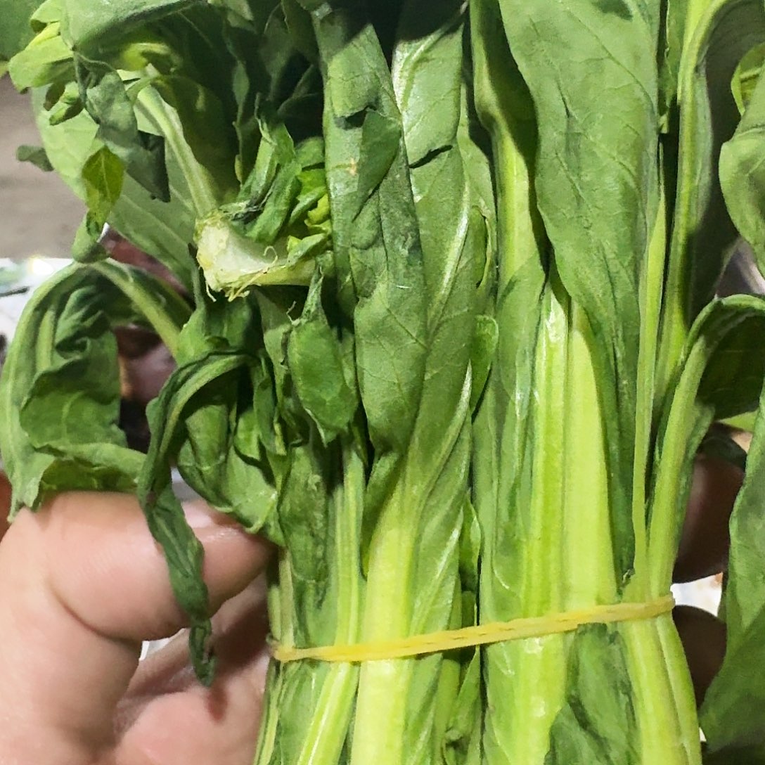 劉***L白菜中国大陆青菜