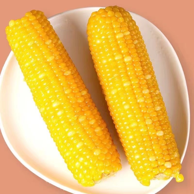 【试吃两根】头茬东北黄糯玉米软糯香黏10支透明包装整箱4.5-5斤