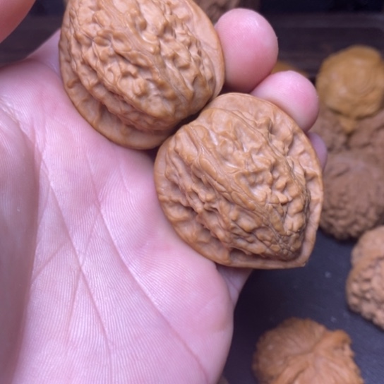 文玩核桃柳叶大红袍38全