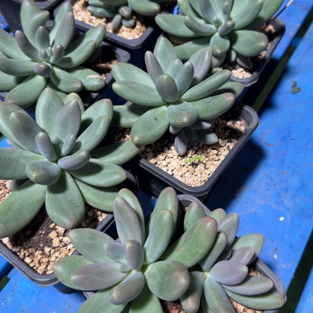 等一会就姐姐那你能健康丰富个