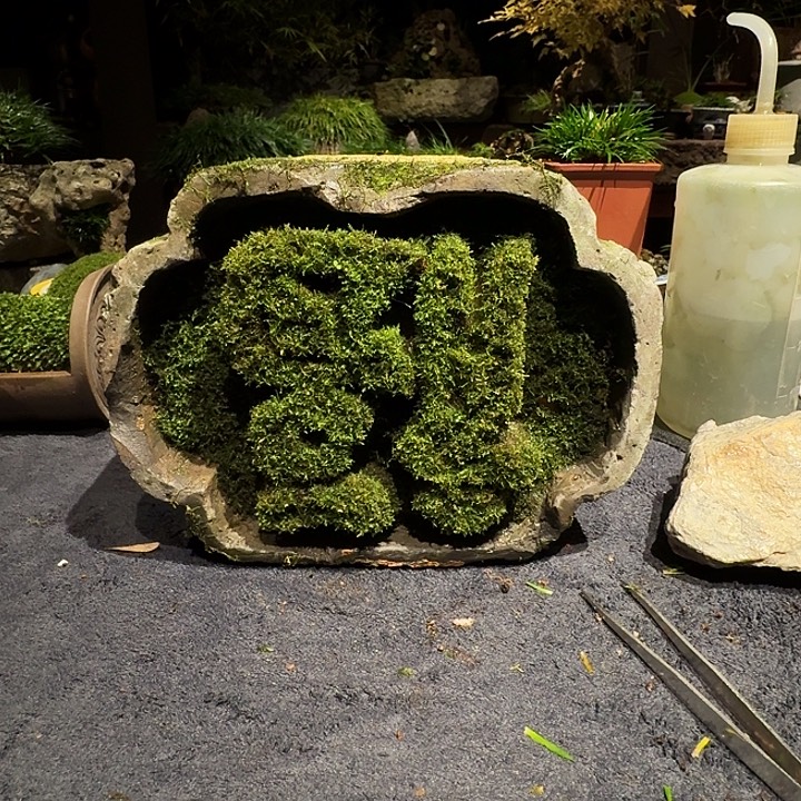 用***6老砖福字苔藓顺丰包邮