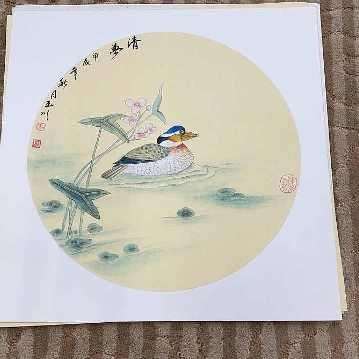 国画花鸟等多种鸟类和动物50.50
