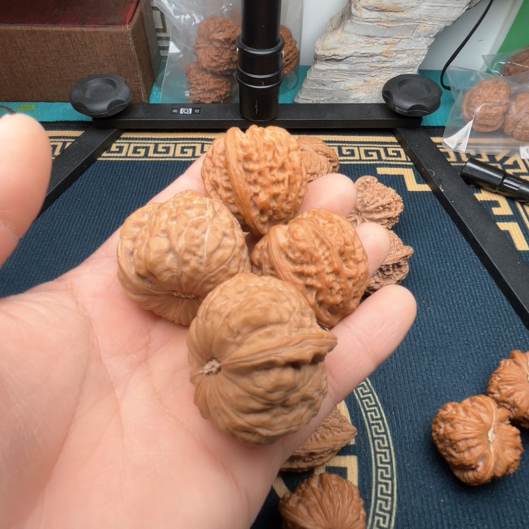 。*222南瓜金牛链接全品