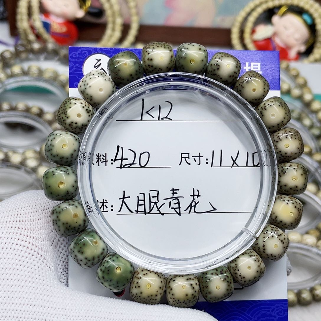 海南心月星月菩提k12