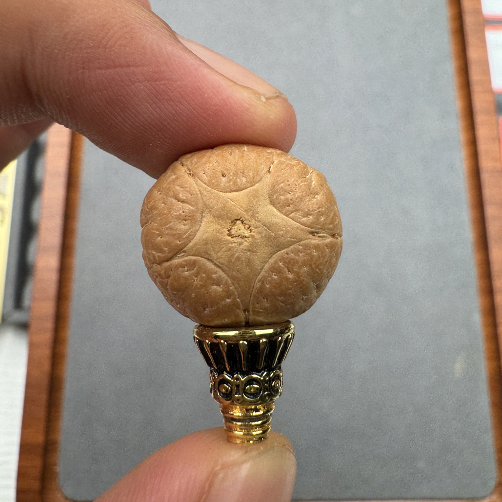 19+五星上将菩提凤眼手串三通佛头，非质量问题开孔不退ck2600