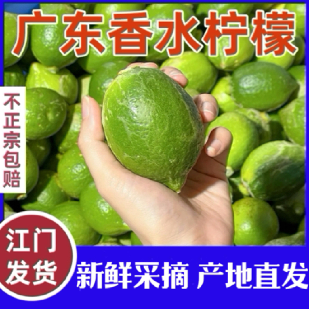 广东香水柠檬二级果浓香型山地果手打柠檬茶奶茶店专用二级果柠檬
