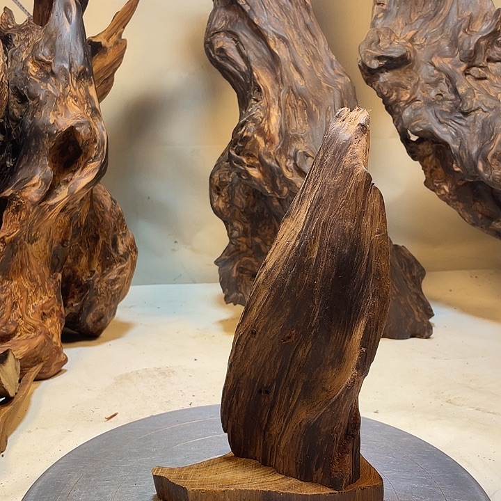 云***茉木直播间一物一拍