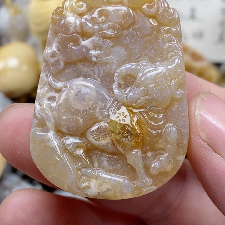 颈饰未镶嵌硅化珊瑚（珊瑚玉）