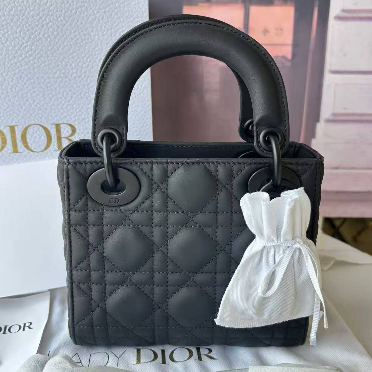 95新 DIOR/迪奥 安安/箱包/ TYP882511270038