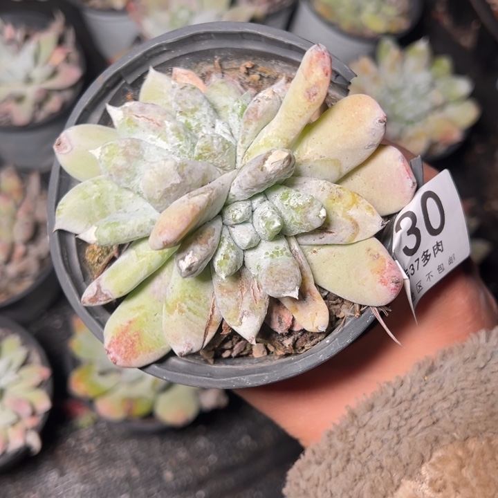 130哈哈哈哈哈哈哈哈哈