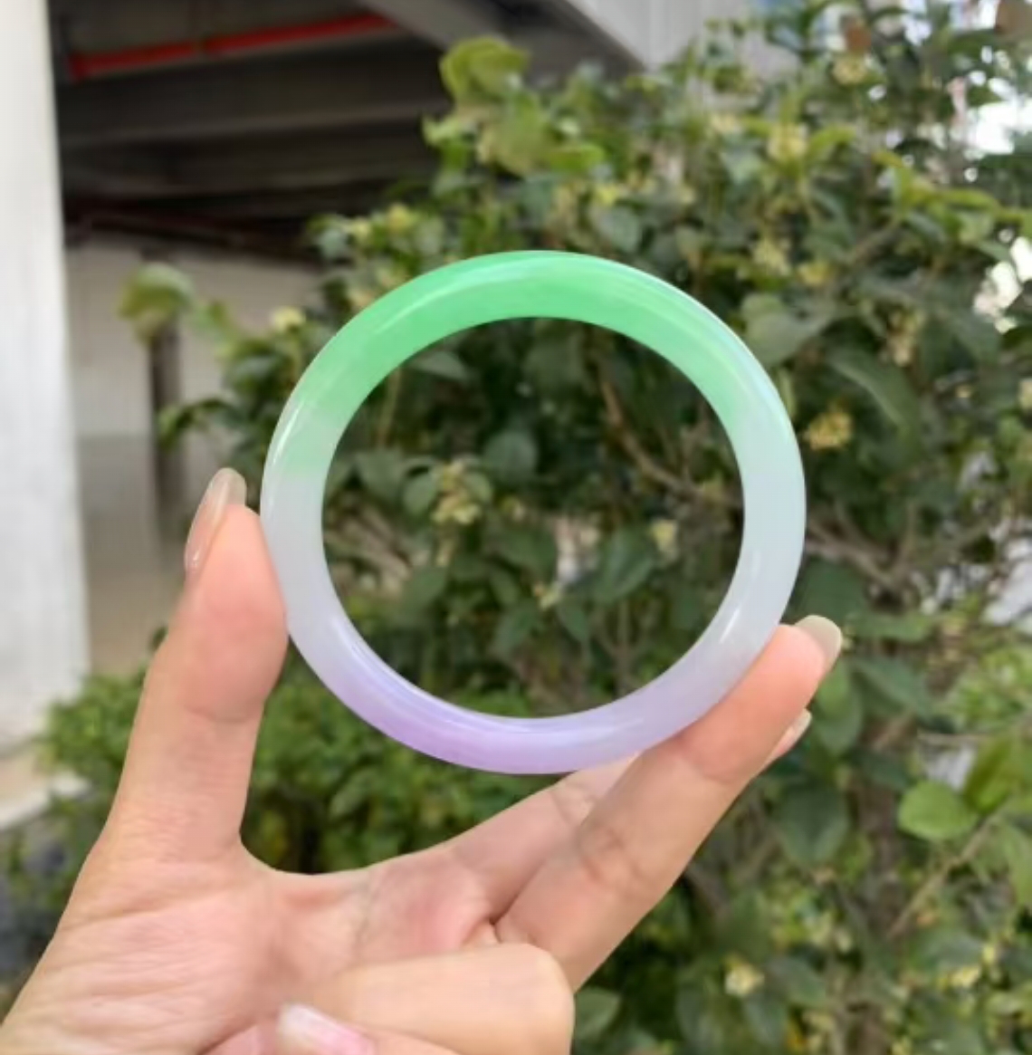 (缅料)两色春彩  宽扁条高端