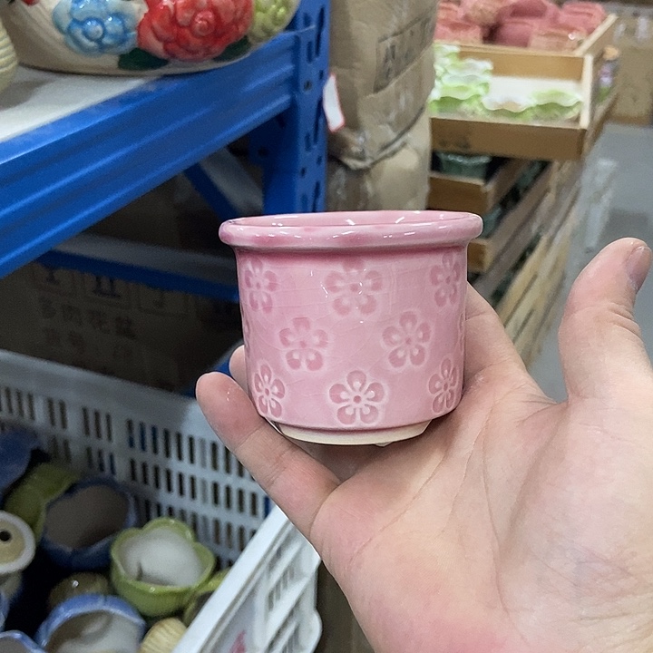 花盆单场满9.9发货8×6.5粉