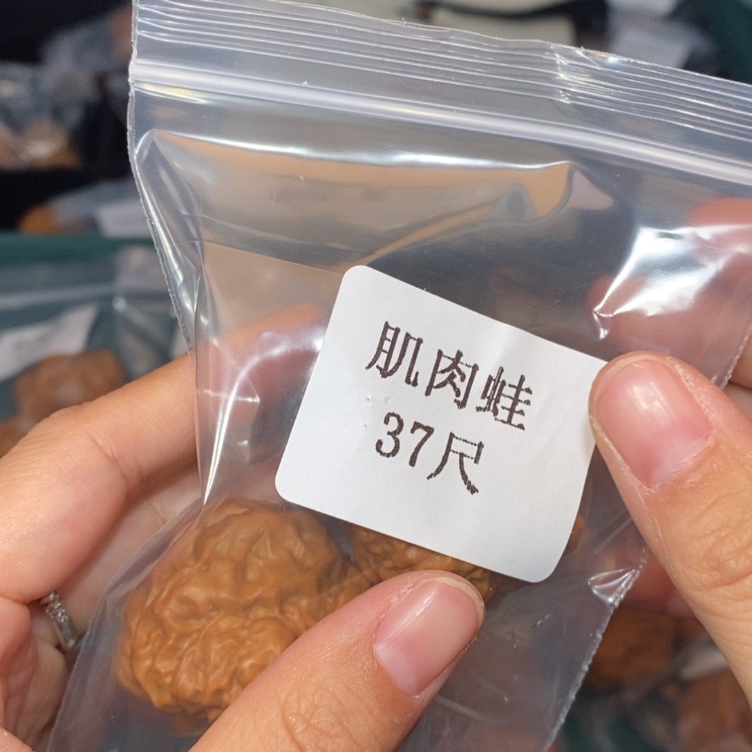 文玩核桃吊坠37肌肉蛙