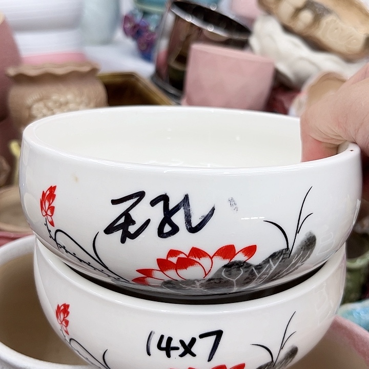 多肉植物陶瓷花瓶