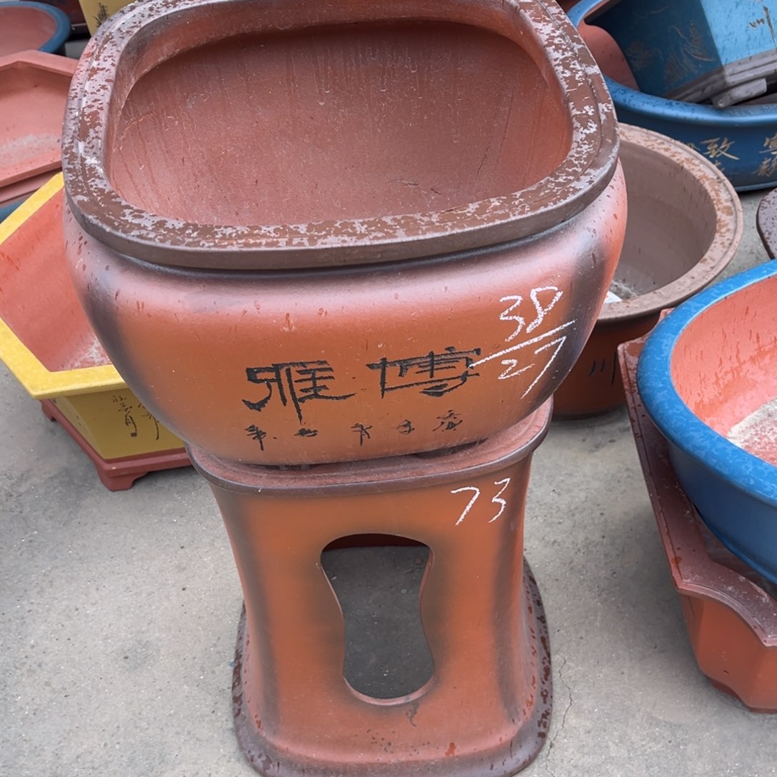 紫砂花盆紫砂花盆