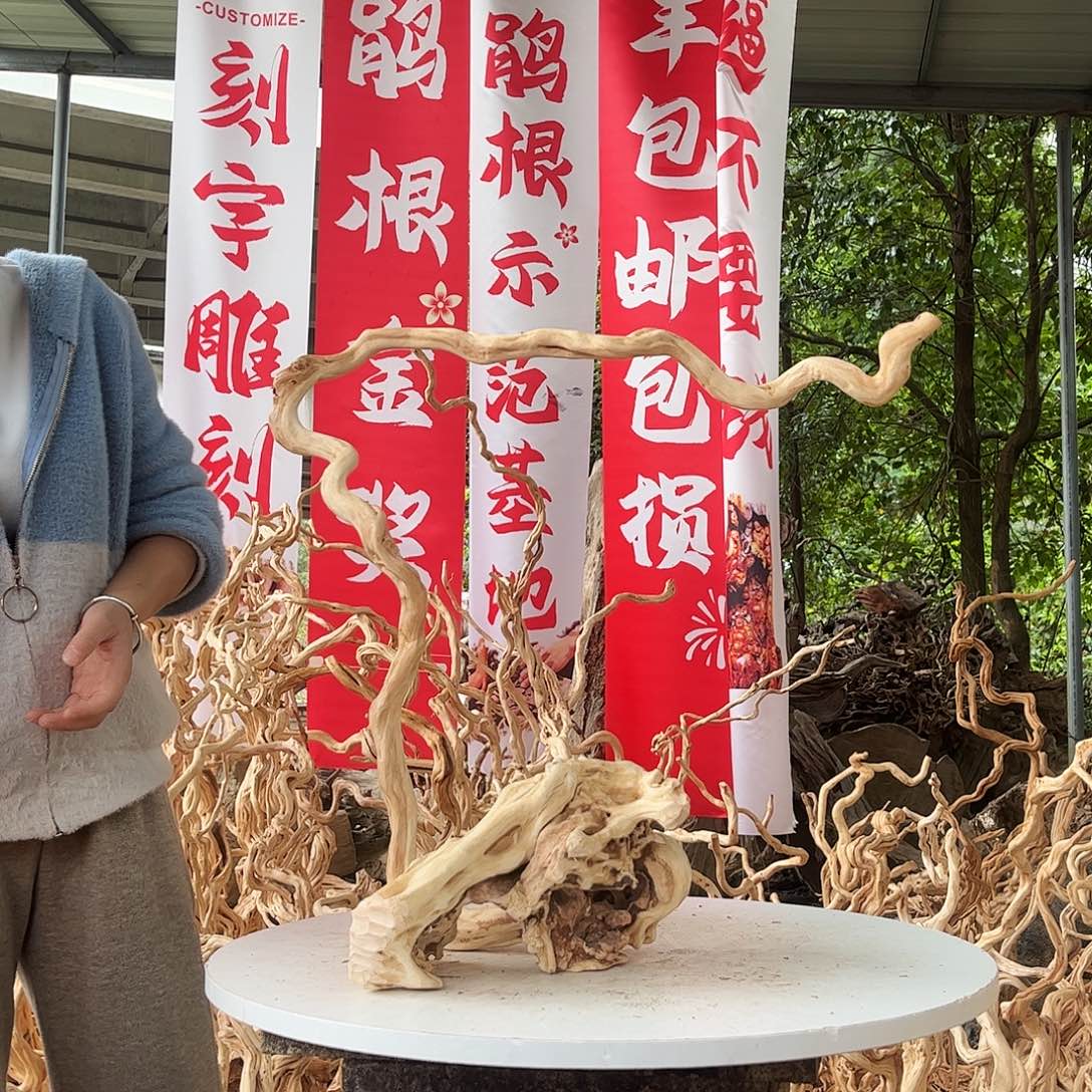 看***喵木168持久健康快快乐乐