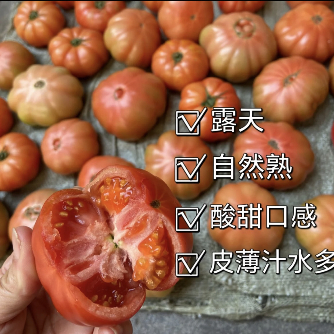 正宗潮汕马蹄番茄农家自种西红柿生吃新鲜水果包邮
