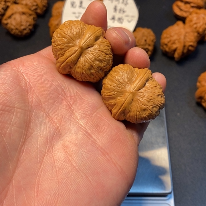 文玩核桃把件19号元宝35尺