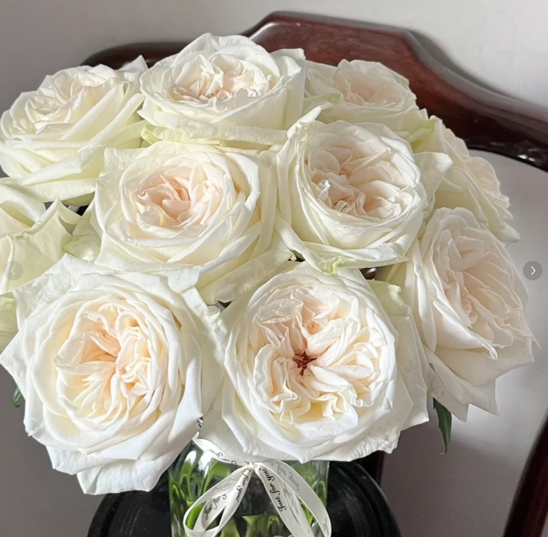 【新疆花之溪】白荔枝玫瑰