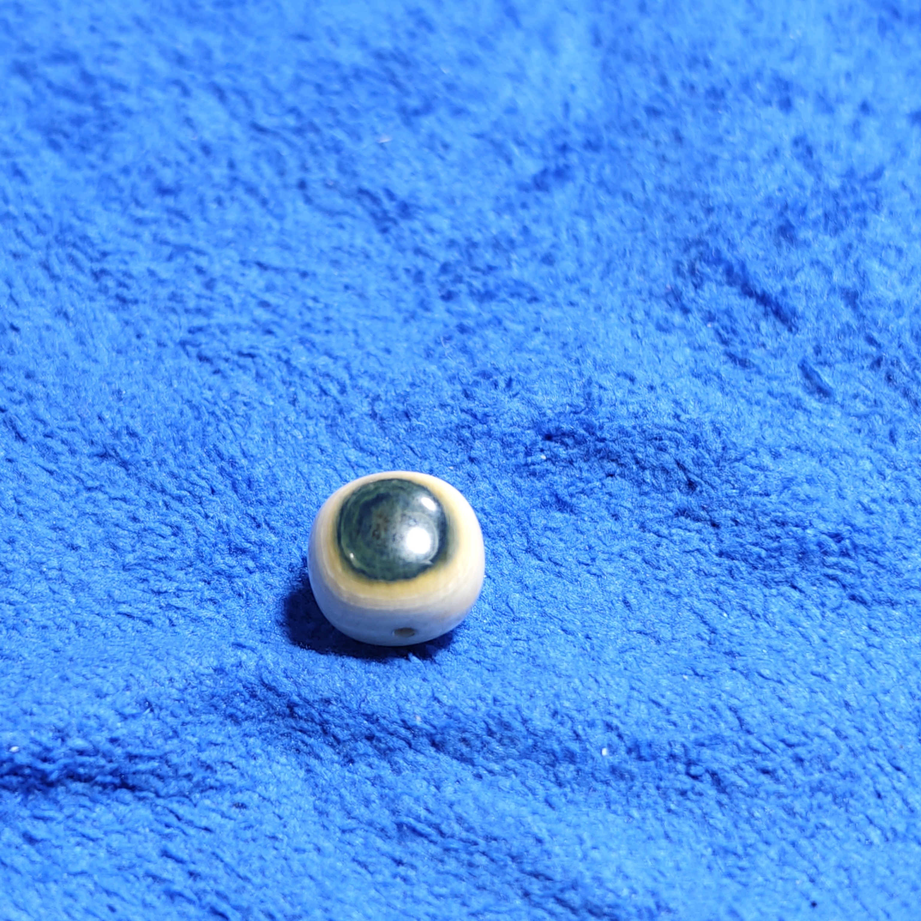 猛犸牙蓝皮单珠一颗支持复检