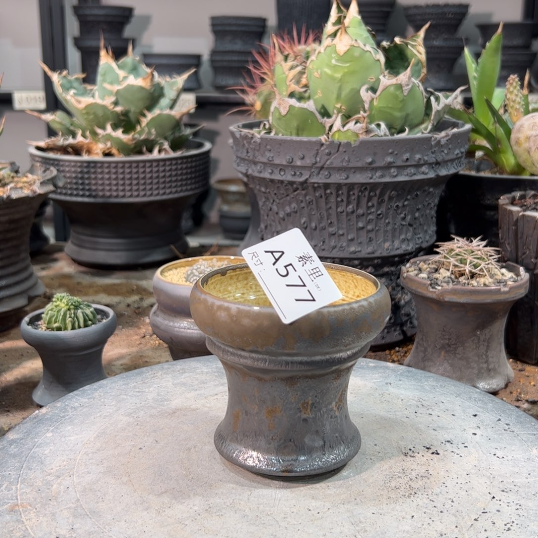 景德镇素里手工内口8.5高9